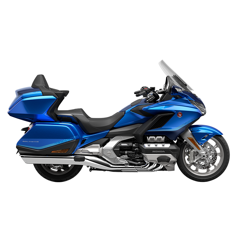 GOLD WING