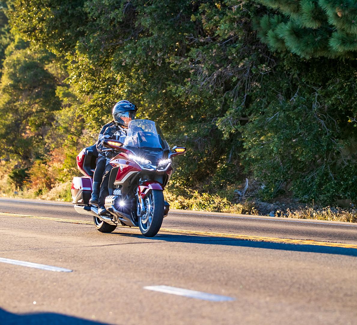 GOLD WING