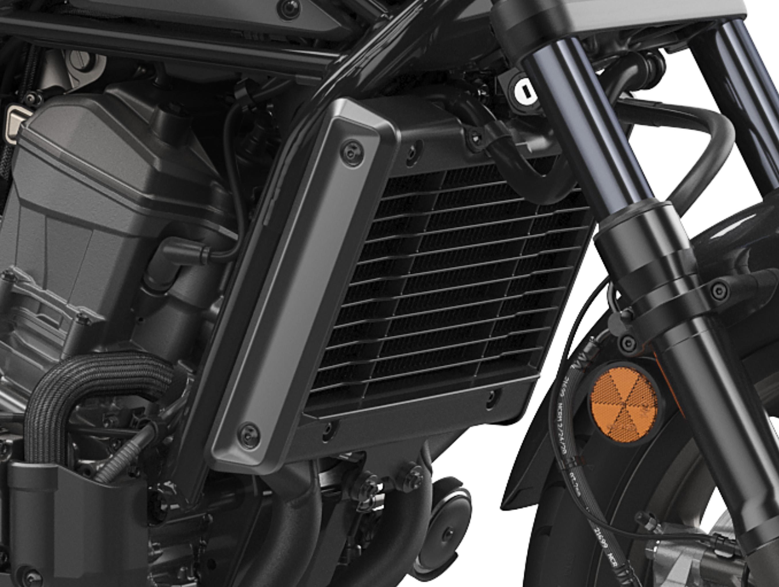 Rebel 1100