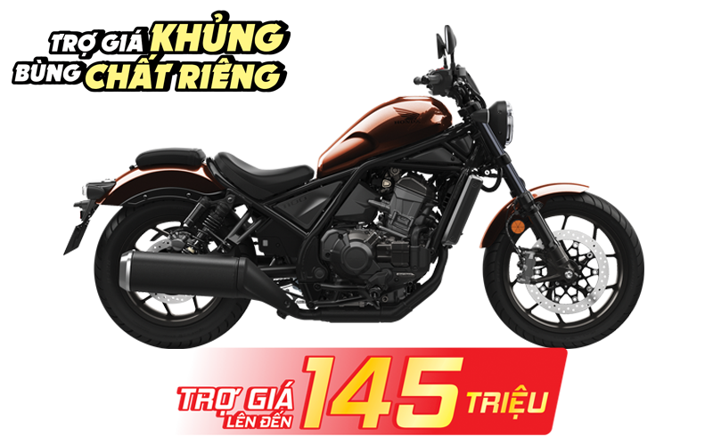 Rebel 1100