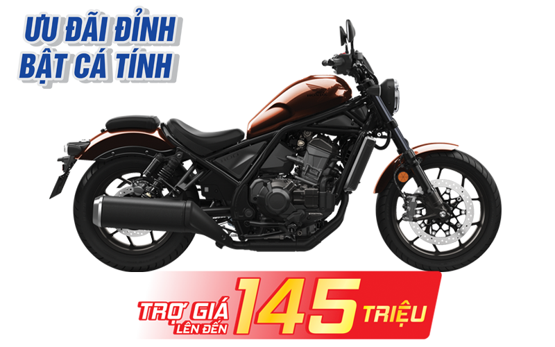 Rebel 1100