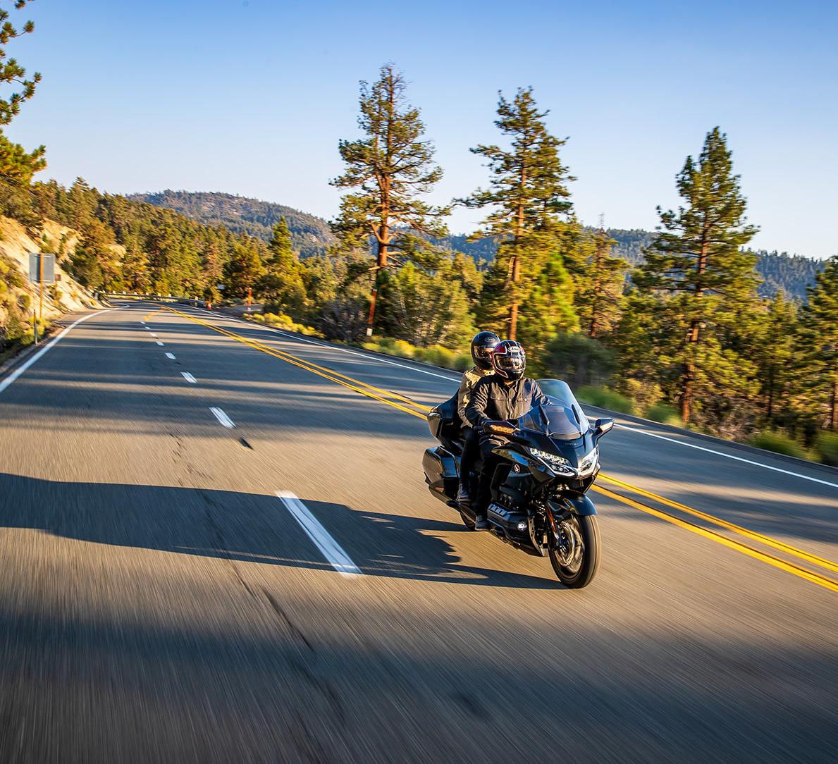 GOLD WING