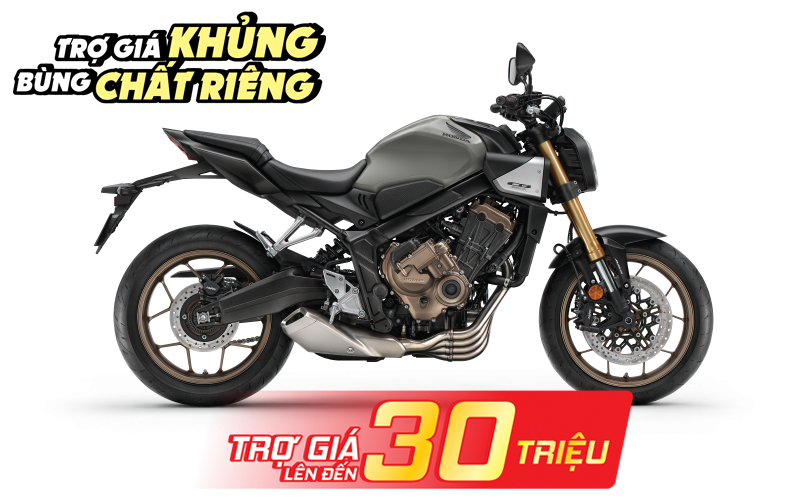 Xám Đen Bạc