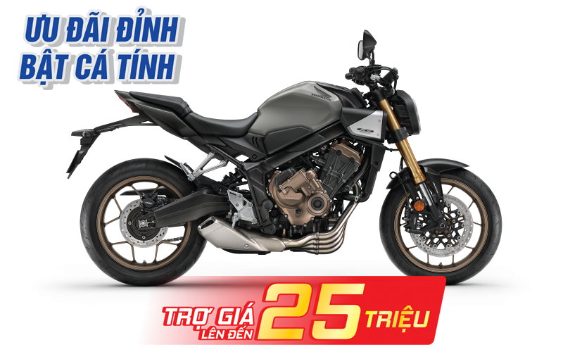 Xám Đen Bạc